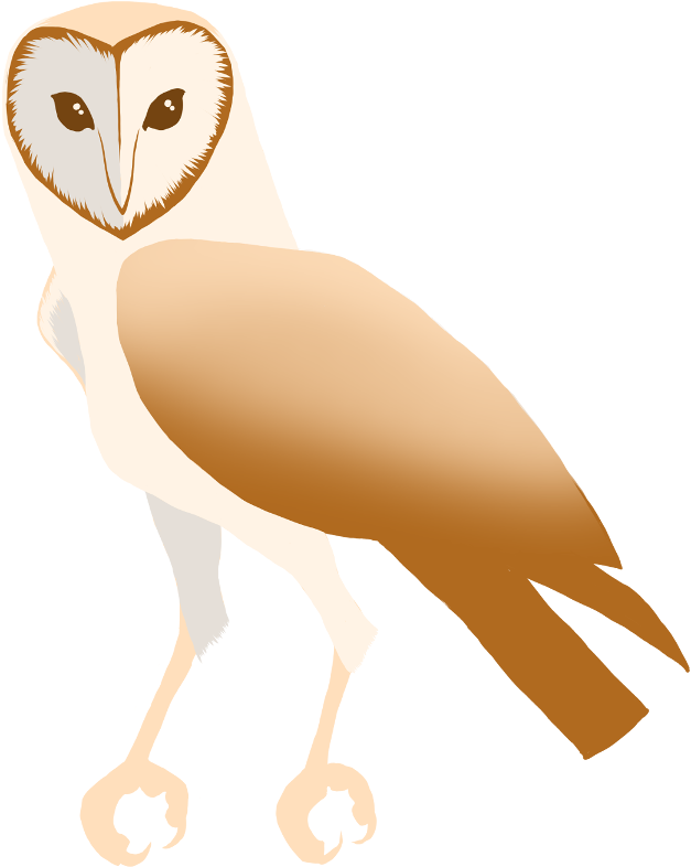 Barn Owl By Puffbird - Screech Owl - Free Transparent PNG Clipart Images Download. - Owl Transparent PNG Free Download