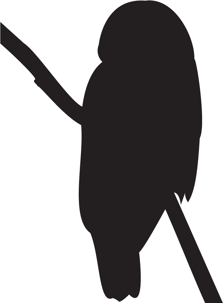 Owl Silhouette Images - Barred Owl Silhouette - Free Transparent PNG Clipart Images Download. - Owl Transparent PNG Free Download