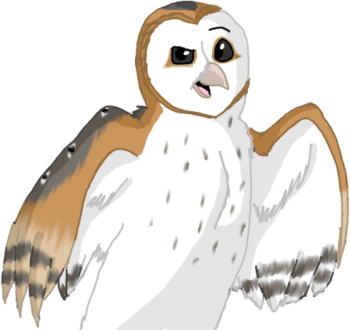 Tobias The Barn Owl By Force O Nature On Deviantart - Barn Owl Cartoon Png - Free Transparent PNG Clipart Images Download. - Owl Transparent PNG Free Download
