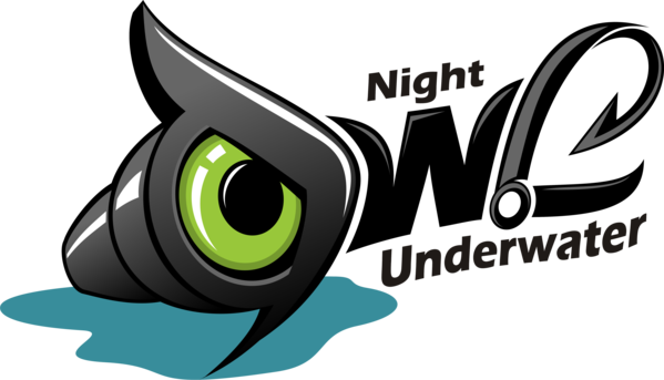 Night Owl Underwater - Owl - Free Transparent PNG Clipart Images Download. - Owl Transparent PNG Free Download