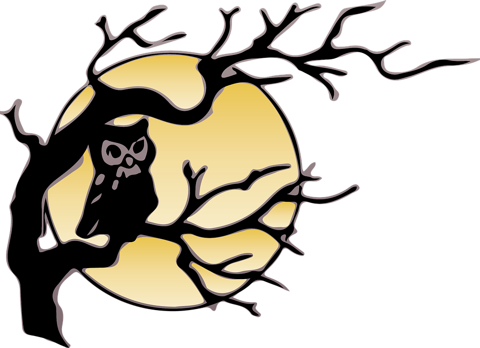 Pottery Cliparts Border 11, Buy Clip Art - Owl Clipart Black And White - Free Transparent PNG Clipart Images Download. - Owl Transparent PNG Free Download