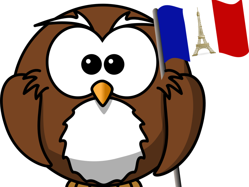 Probability Class Game By Chaseleamaths - Cartoon Owl Shower Curtain - Free Transparent PNG Clipart Images Download. - Owl Transparent PNG Free Download