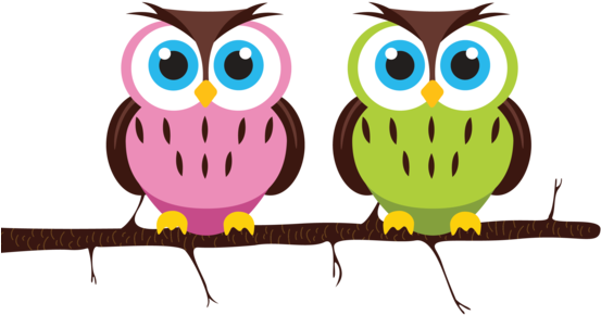 Pen Tool Illustration Of Two Owls In A Tree - Owl Owl Owl Rectangle Sticker - Free Transparent PNG Clipart Images Download. - Owl Transparent PNG Free Download