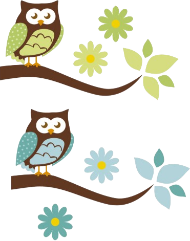 Establishing Class Rules As A Group - Owl - Free Transparent PNG Clipart Images Download. - Owl Transparent PNG Free Download