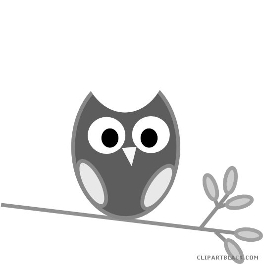 Owl On A Branch Animal Free Black White Clipart Images - Owl Clip Art - Free Transparent PNG Clipart Images Download. - Owl Transparent PNG Free Download