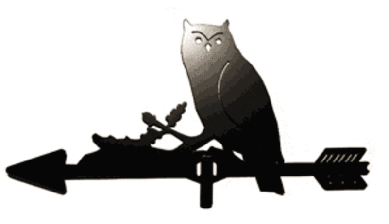 Great Horned Owl - Free Transparent PNG Clipart Images Download. - Owl Transparent PNG Free Download