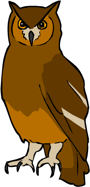 Forest Animals Forest Animals - Eastern Screech Owl - Free Transparent PNG Clipart Images Download. - Owl Transparent PNG Free Download