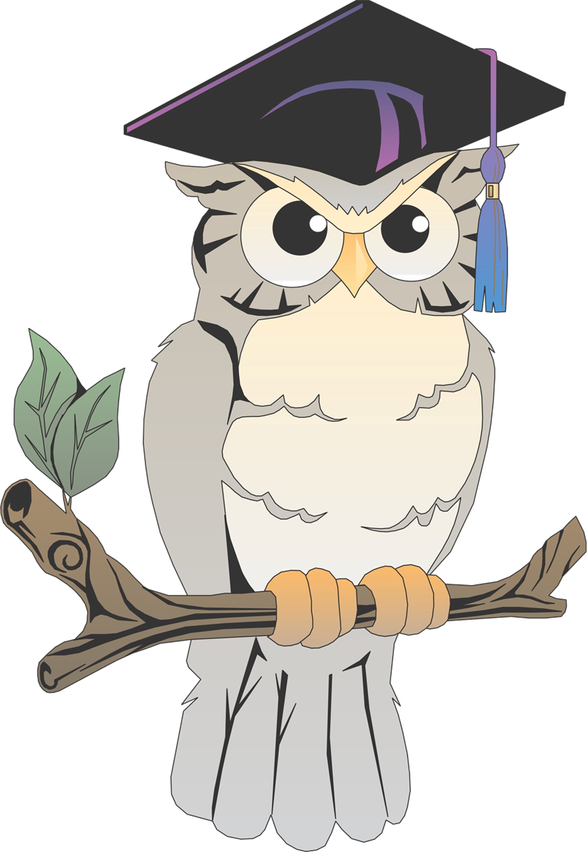 Remember What The After The Election Of 2016 Felt Like - Wise Owl - Free Transparent PNG Clipart Images Download. - Owl Transparent PNG Free Download