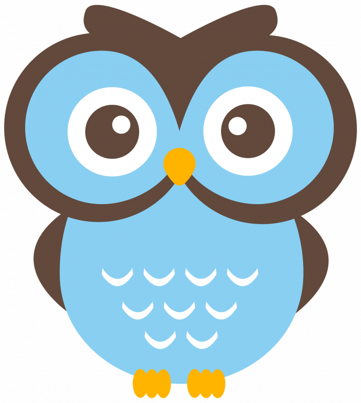 Owl - Cute Owl Clip Art - Free Transparent PNG Clipart Images Download. - Owl Transparent PNG Free Download