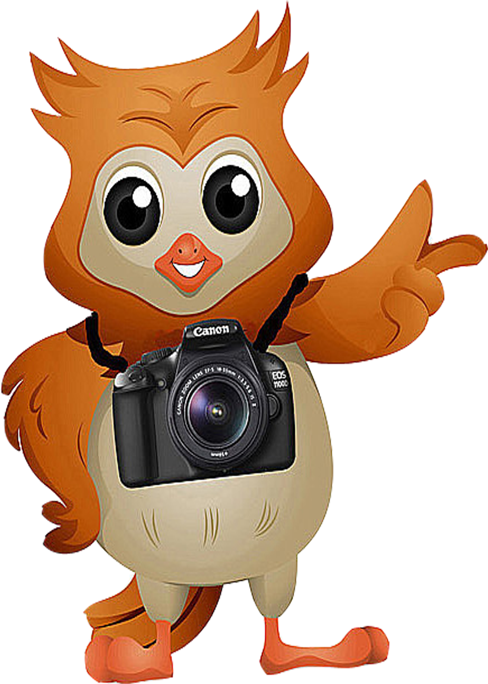 Camera Clipart Owl - Cartoon Owl With A Camera - Free Transparent PNG Clipart Images Download. - Owl Transparent PNG Free Download