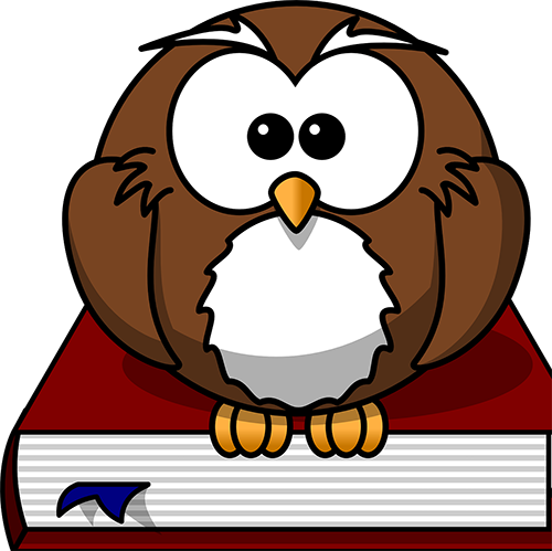 6 Copyright Considerations Before You Pick Up The Phone - Cartoon Owl Shower Curtain - Free Transparent PNG Clipart Images Download. - Owl Transparent PNG Free Download