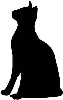 Closed All Public Bank Holidays Barn Owls Attentive - Barn Owl - Free Transparent PNG Clipart Images Download. - Owl Transparent PNG Free Download