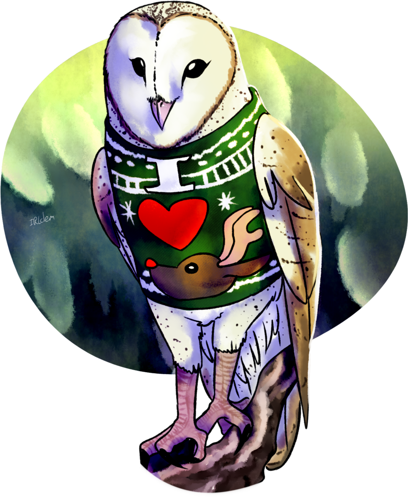 Commission By Irlclem - Barn Owl - Free Transparent PNG Clipart Images Download. - Owl Transparent PNG Free Download