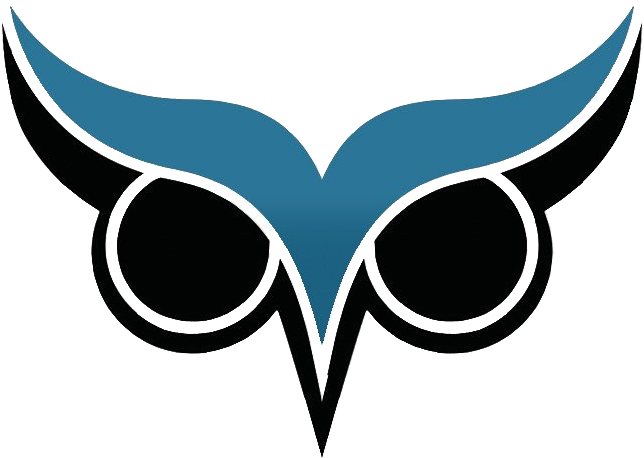 Brow Analytics Three Years - Owl Eye Vector Png - Free Transparent PNG Clipart Images Download. - Owl Transparent PNG Free Download