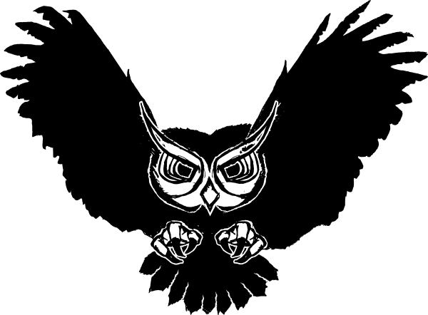 Owl Vinyl Wall Art Sticker, Black, Size Medium - Free Transparent PNG Clipart Images Download. - Owl Transparent PNG Free Download