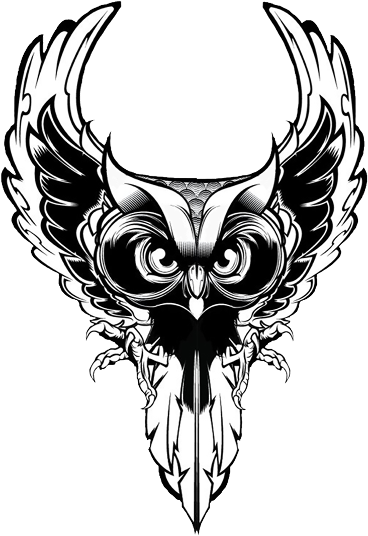 Giveret Shiraz - Owl Illustration - Free Transparent PNG Clipart Images Download. - Owl Transparent PNG Free Download