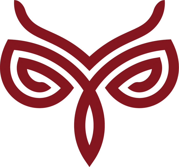 Software Designers & Developers, Giant Owl, Inc - Giant Owl, Inc. - Free Transparent PNG Clipart Images Download. - Owl Transparent PNG Free Download