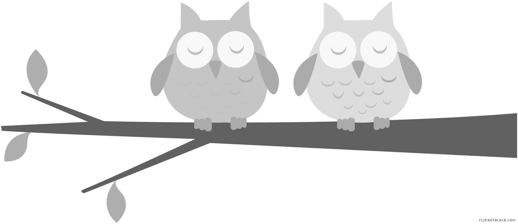 Awesome Owl Animal Free Black White Clipart Images - Owl On A Branch Clipart - Free Transparent PNG Clipart Images Download. - Owl Transparent PNG Free Download