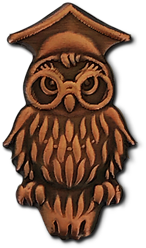 Wise Owl Png - Owl Badge - Free Transparent PNG Clipart Images Download. - Transparent PNG Free Download