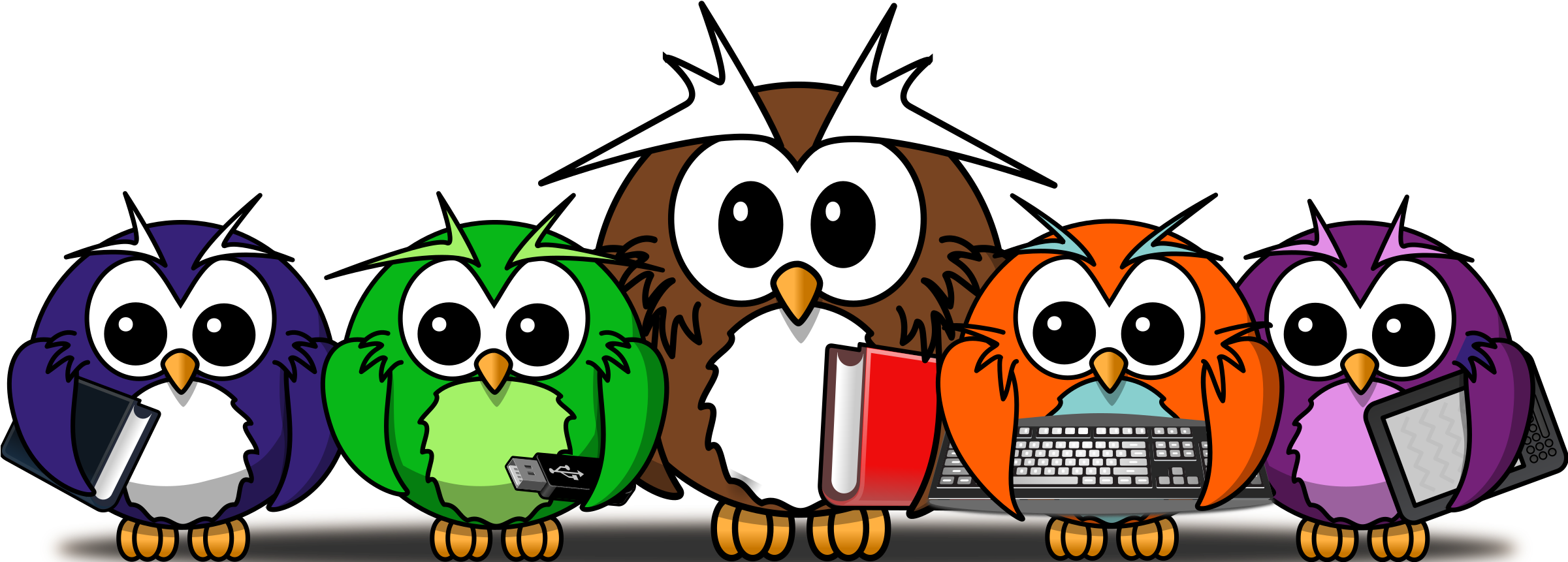 Little Owl Painting Line Art Cartoon - Cartoon Owl Shower Curtain - Free Transparent PNG Clipart Images Download. - Transparent PNG Free Download