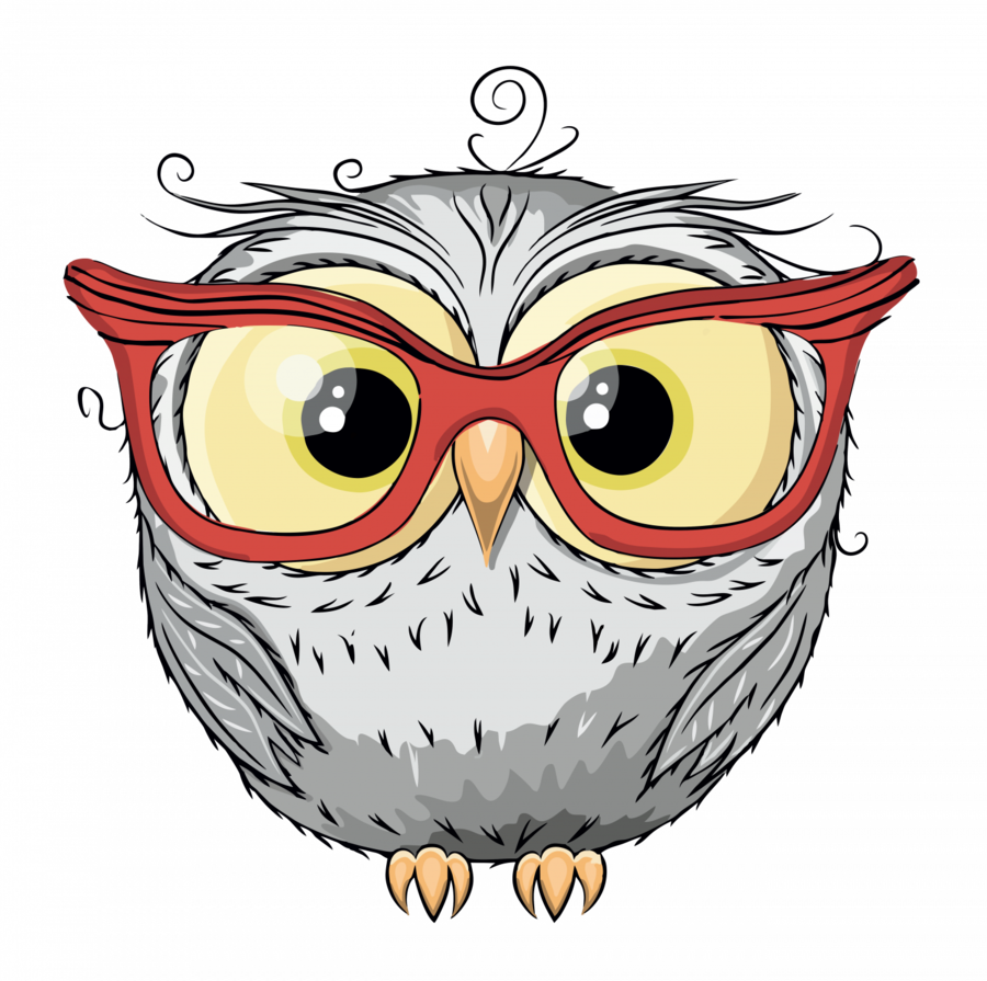 Cute Owls Clipart Owl Drawing - Owl Drawing - Free Transparent PNG Clipart Images Download. - Transparent PNG Free Download