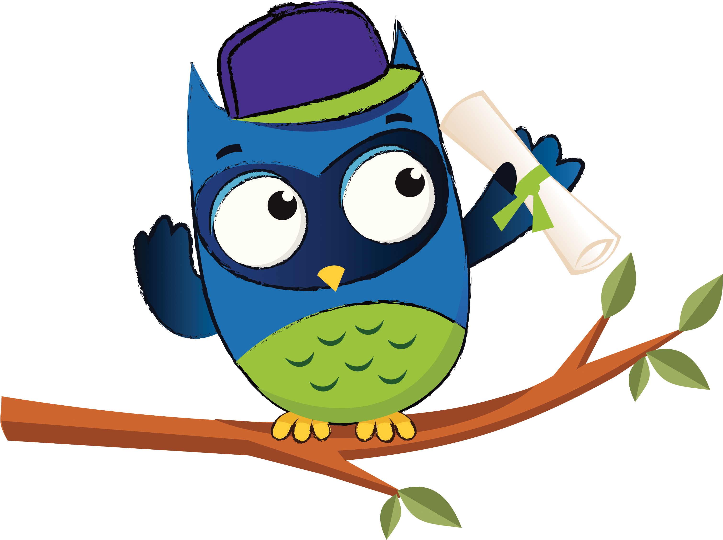 Natural Resources Wales' Education, Learning And Sector - Owl - Free Transparent PNG Clipart Images Download. - Transparent PNG Free Download