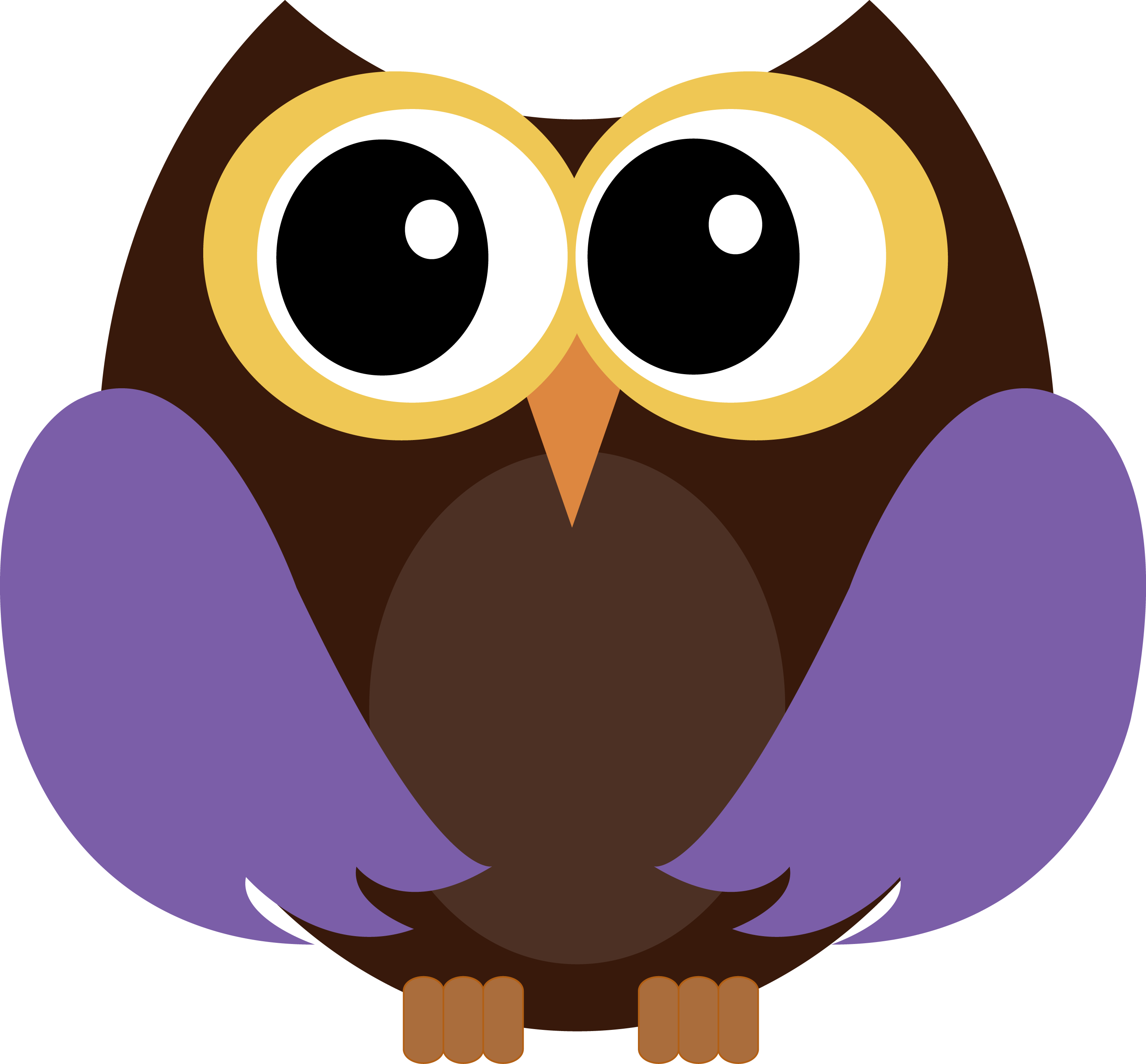Photo By @daniellemoraesfalcao - Owl - Free Transparent PNG Clipart Images Download. - Transparent PNG Free Download
