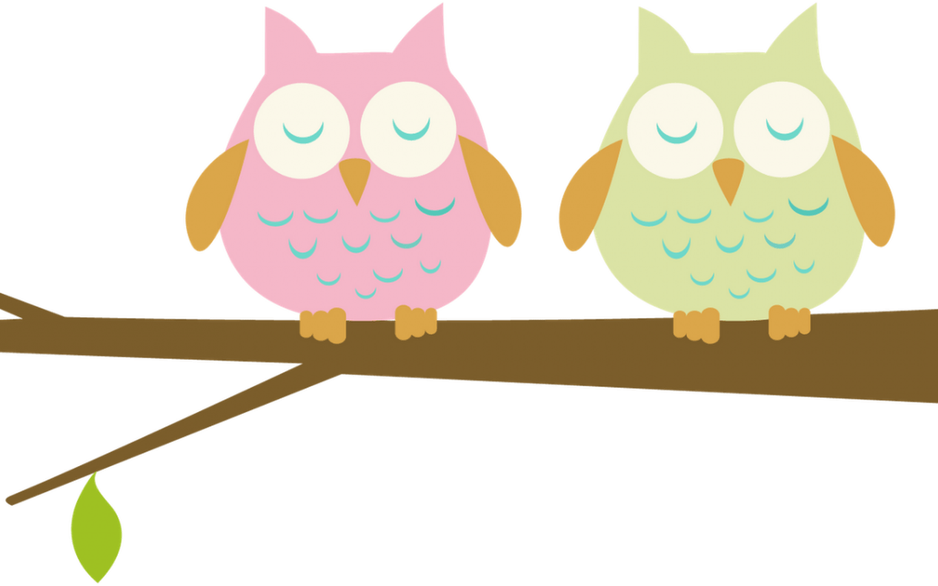 10 Things I Wish Someone Would Have Told Me About Teaching - Owls On A Branch Clip Art - Free Transparent PNG Clipart Images Download. - Transparent PNG Free Download