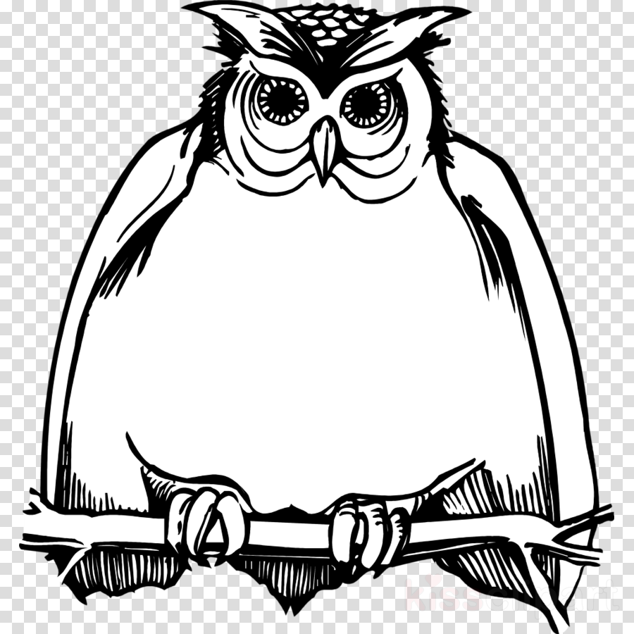 Download Owl Black And White Png Clipart Great Horned - Harry Potter Birthdays Owl - Free Transparent PNG Clipart Images Download. - Transparent PNG Free Download