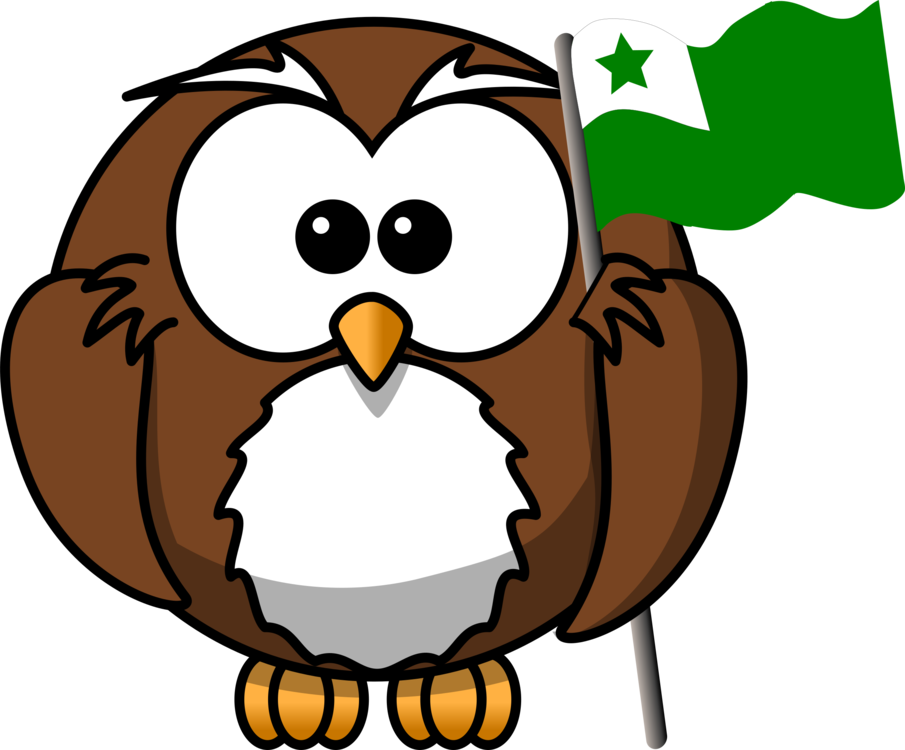 Owl Drawing Cartoon Bird Of Prey - Owl On Book Clipart - Free Transparent PNG Clipart Images Download. - Transparent PNG Free Download