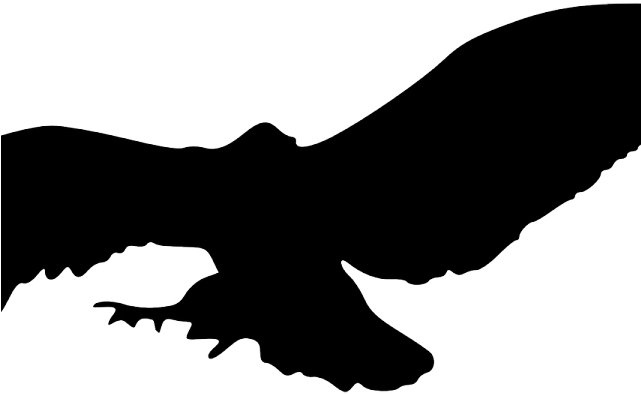 Vulture Clipart Flying - Silhouette Of Owls Flying - Free Transparent PNG Clipart Images Download. - Transparent PNG Free Download