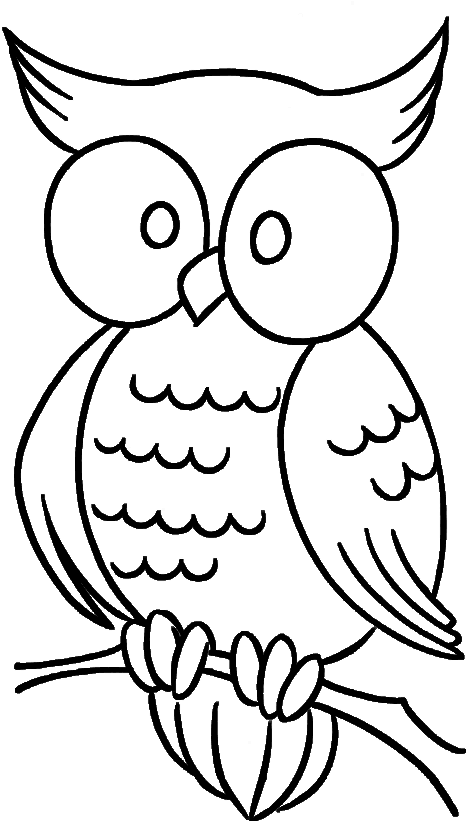 Cute Owl With Bulging Eyes Coloring Pages - Simple Owl Coloring Pages - Free Transparent PNG Clipart Images Download. - Transparent PNG Free Download