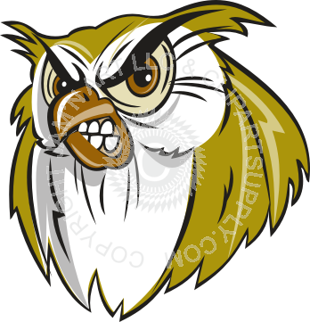 Mean Owl - Free Transparent PNG Clipart Images Download. - Transparent PNG Free Download