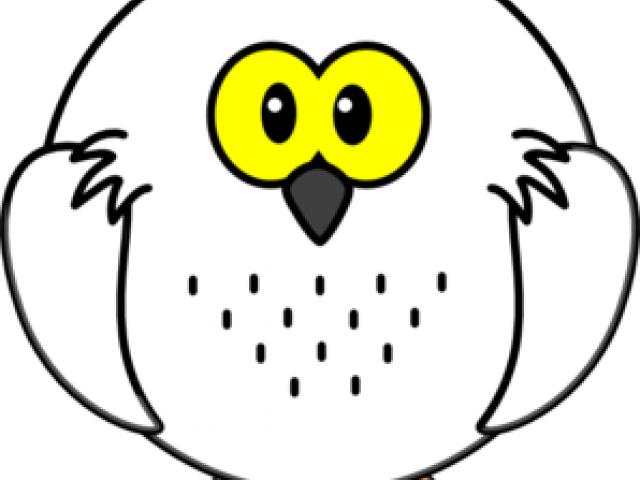 Snowy Owl Clipart Branch - Cartoon Owl - Free Transparent PNG Clipart Images Download. - Owl Transparent PNG Free Download