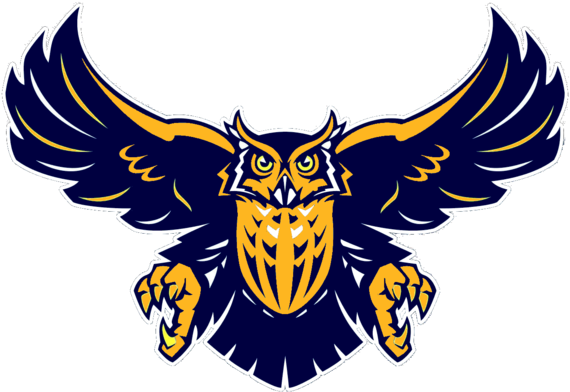 Navy Clipart Blue Owl - Rice Owls - Free Transparent PNG Clipart Images Download. - Owl Transparent PNG Free Download