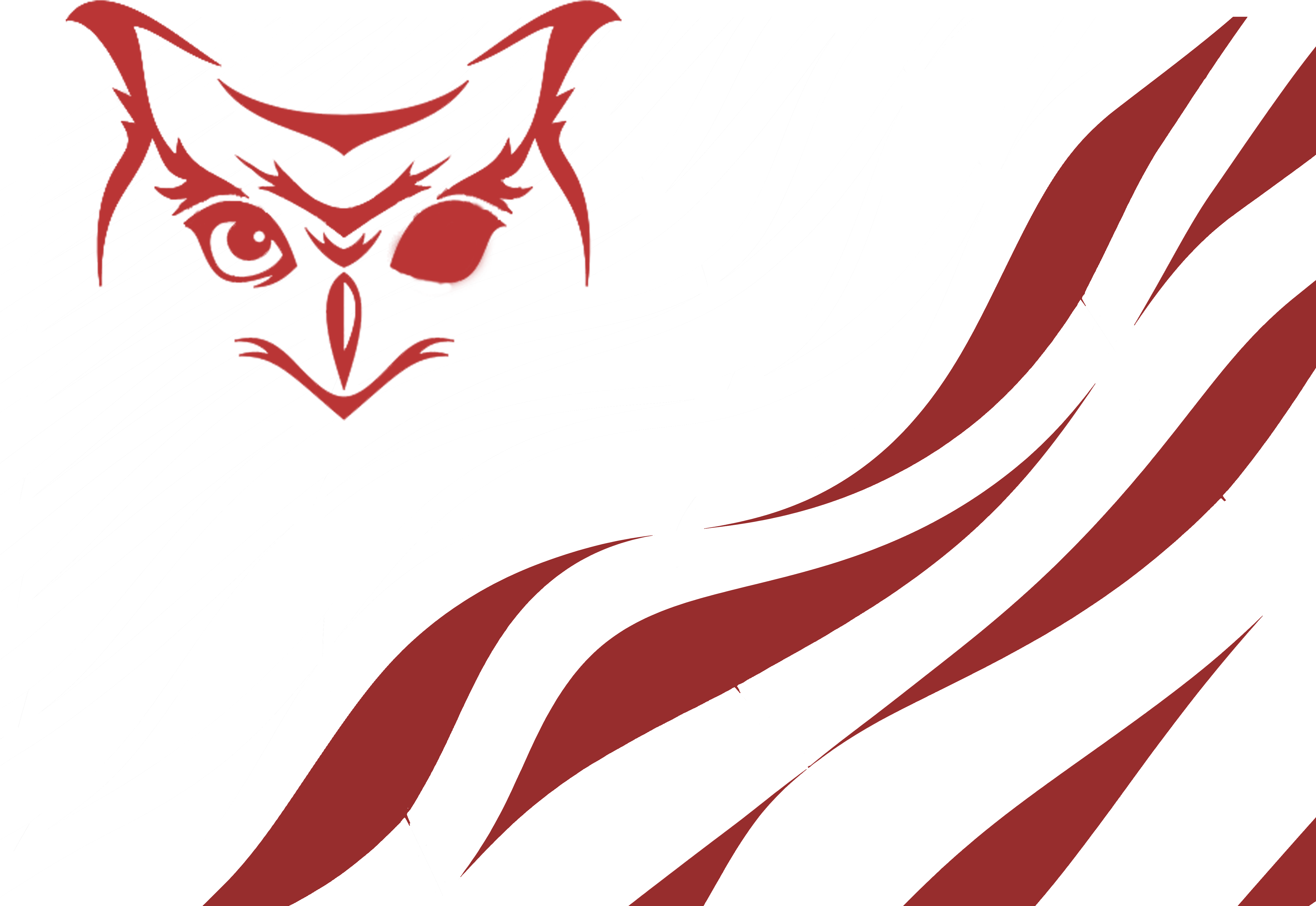 2019 At - Owl Face Drawing Simple - Free Transparent PNG Clipart Images Download. - Owl Transparent PNG Free Download