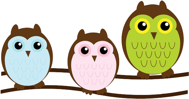 Owl On Branch Clipart - Cute Clipart - Free Transparent PNG Clipart Images Download. - Transparent PNG Free Download