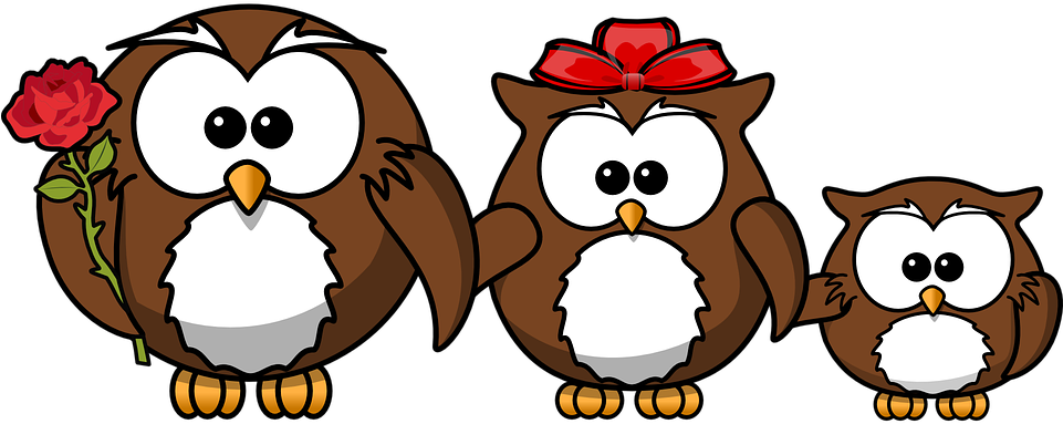 Owl Animal Bird Funny Family Father Mother - Funny Birthday Wishes For A Son - Free Transparent PNG Clipart Images Download. - Transparent PNG Free Download