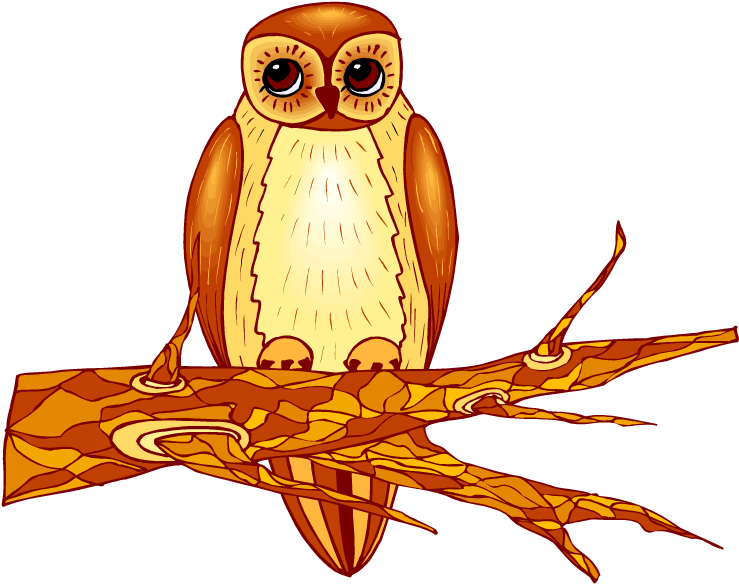 Owl Clipart - Clip Art - Free Transparent PNG Clipart Images Download. - Transparent PNG Free Download