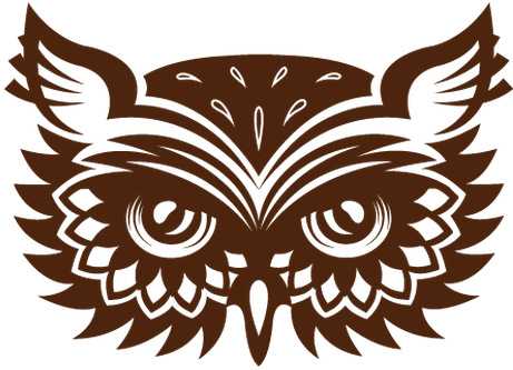 Collection Of Wise Old Owl Faces - Carlsbad Early College High School - Free Transparent PNG Clipart Images Download. - Owl Transparent PNG Free Download