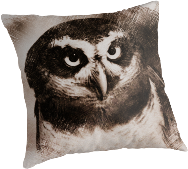 Owl Sketch 05 By Fantasytripp - Cushion - Free Transparent PNG Clipart Images Download. - Owl Transparent PNG Free Download