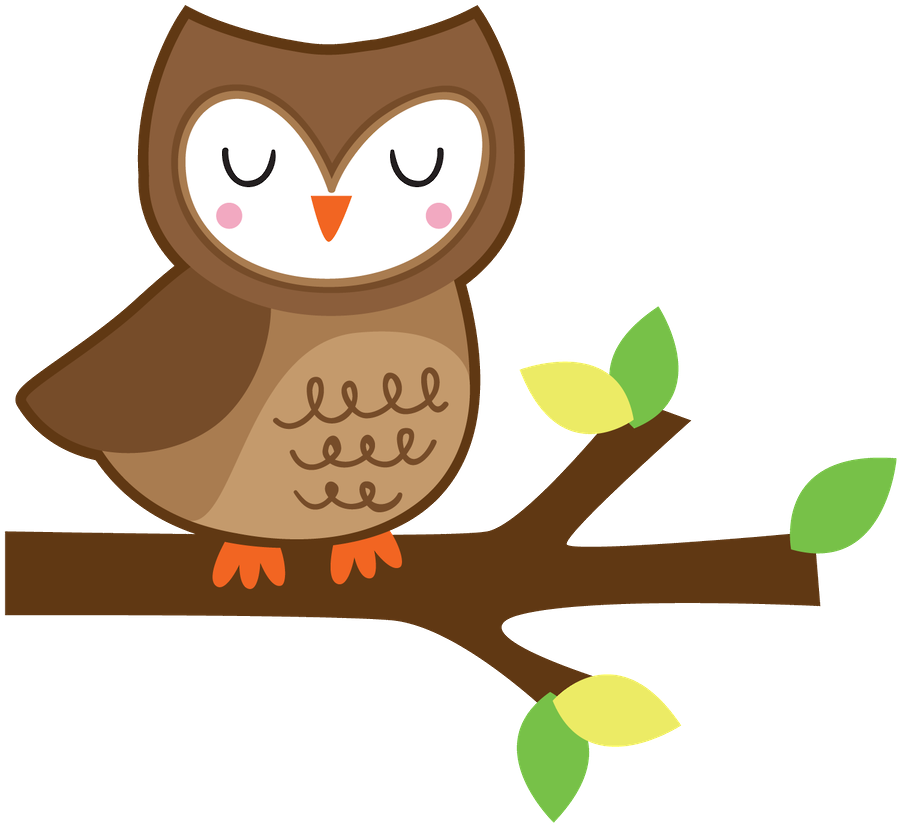 Owl Clip Artowl - Cartoon - Free Transparent PNG Clipart Images Download. - Owl Transparent PNG Free Download