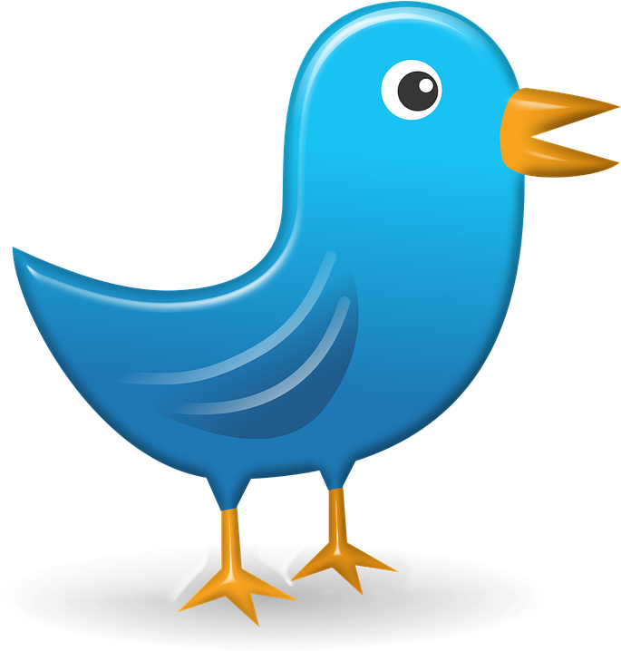 Owl Typing Cliparts 12, Buy Clip Art - Chicken - Free Transparent PNG Clipart Images Download. - Owl Transparent PNG Free Download