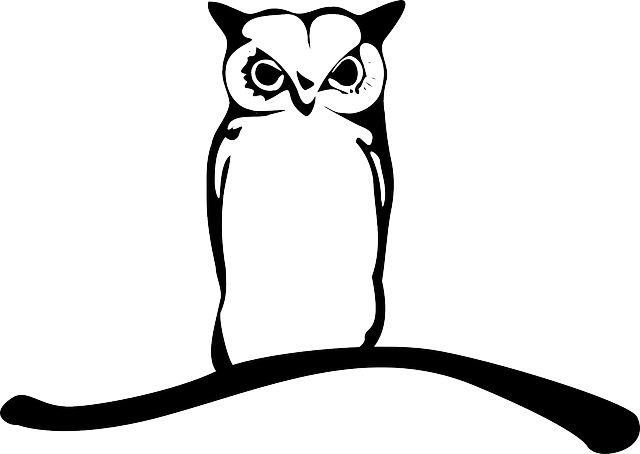 Branch Owl, Owlet, Eagle Owl, Animal, Bird, Twig, Branch - Vector Burung Hantu - Free Transparent PNG Clipart Images Download. - Owl Transparent PNG Free Download