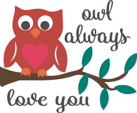 Owl Always Love You - Owl Always Love You - Free Transparent PNG Clipart Images Download. - Owl Transparent PNG Free Download