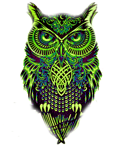 Transparent Owl Tumblr Drawing - Plantillas De Tatuajes De Buhos - Free Transparent PNG Clipart Images Download. - Owl Transparent PNG Free Download