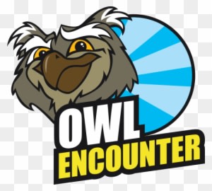 If You'd Like An Extra Special Experience With Owls - If You'd Like An Extra Special Experience With Owls - Free Transparent PNG Clipart Images Download. - Owl Transparent PNG Free Download