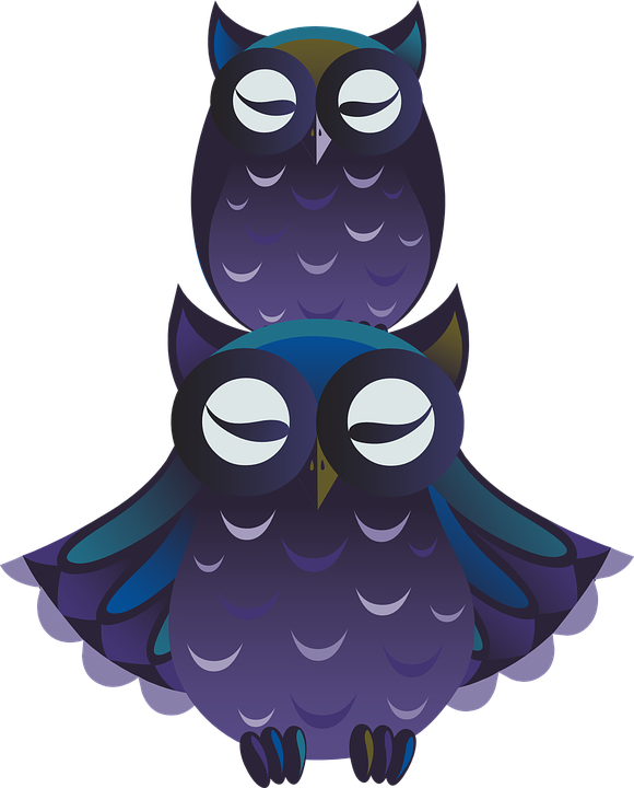 Baby Owl Clipart 11, Buy Clip Art - Png นก สี ม่วง - Free Transparent PNG Clipart Images Download. - Transparent PNG Free Download