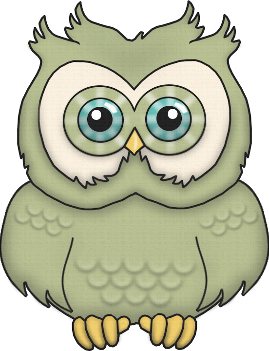 552×720 Pixels - Cartoon-brown-eule Karte - Free Transparent PNG Clipart Images Download. - Transparent PNG Free Download