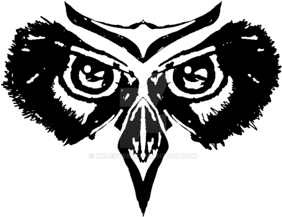 Owl's Glare By Kalephrex - Illustration - Free Transparent PNG Clipart Images Download. - Transparent PNG Free Download